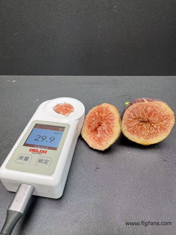 小果迷-种植爱好者交流互动平台