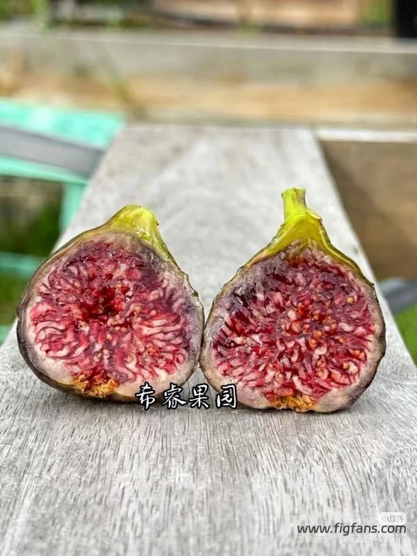 小果迷-种植爱好者交流互动平台