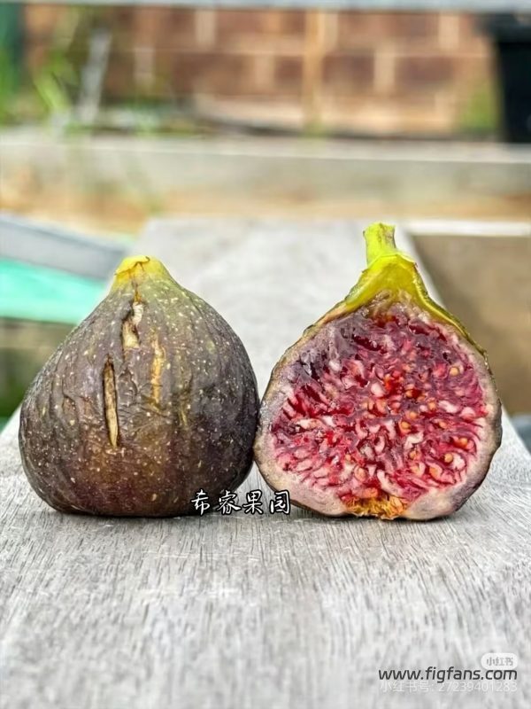 小果迷-种植爱好者交流互动平台