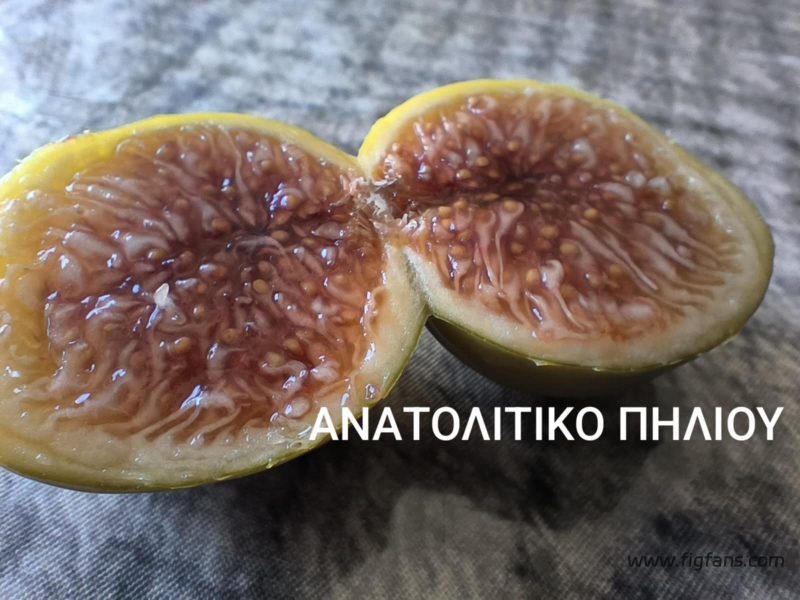 小果迷-种植爱好者交流互动平台