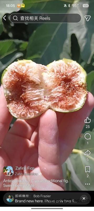 小果迷-种植爱好者交流互动平台