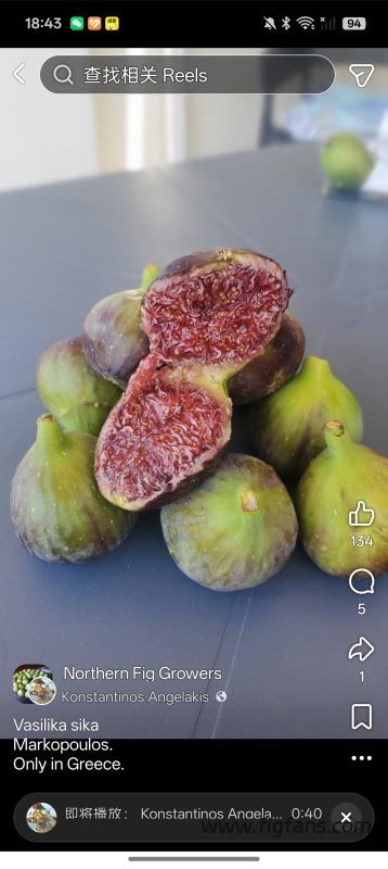 小果迷-种植爱好者交流互动平台