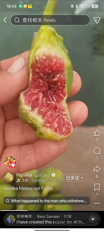 小果迷-种植爱好者交流互动平台