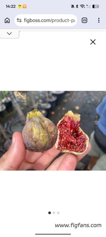 小果迷-种植爱好者交流互动平台