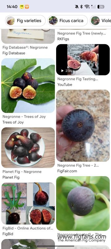 小果迷-种植爱好者交流互动平台