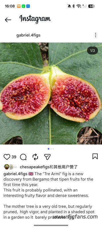 小果迷-种植爱好者交流互动平台