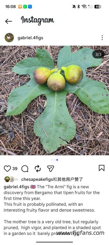 小果迷-种植爱好者交流互动平台