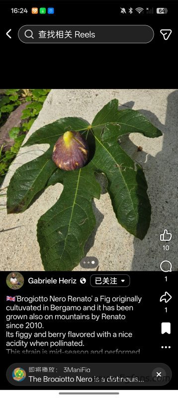 Screenshot_2026-08-04-16-24-25-24_a23b203fd3aafc6dcb84e438dda678b6