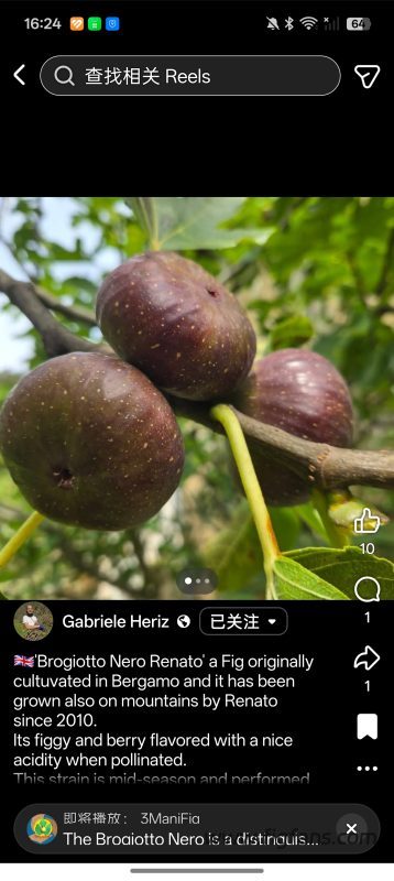 Screenshot_2026-08-04-16-24-33-17_a23b203fd3aafc6dcb84e438dda678b6