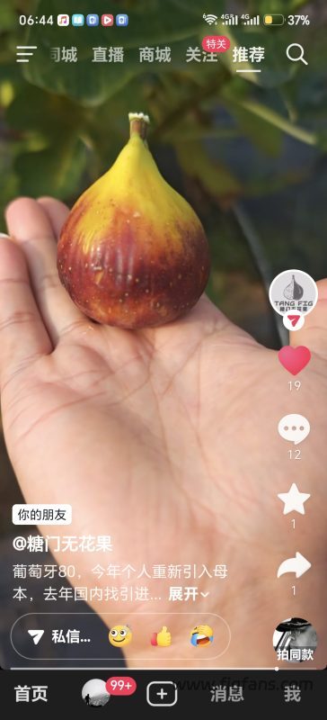 小果迷-种植爱好者交流互动平台