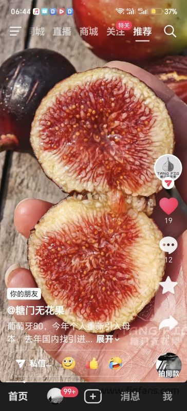 小果迷-种植爱好者交流互动平台
