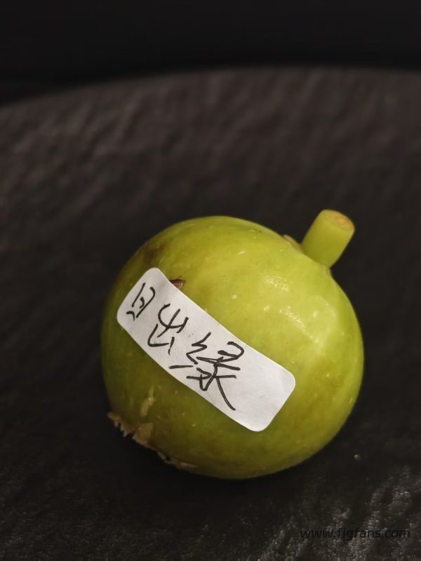 小果迷-种植爱好者交流互动平台