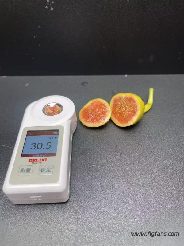 小果迷-种植爱好者交流互动平台