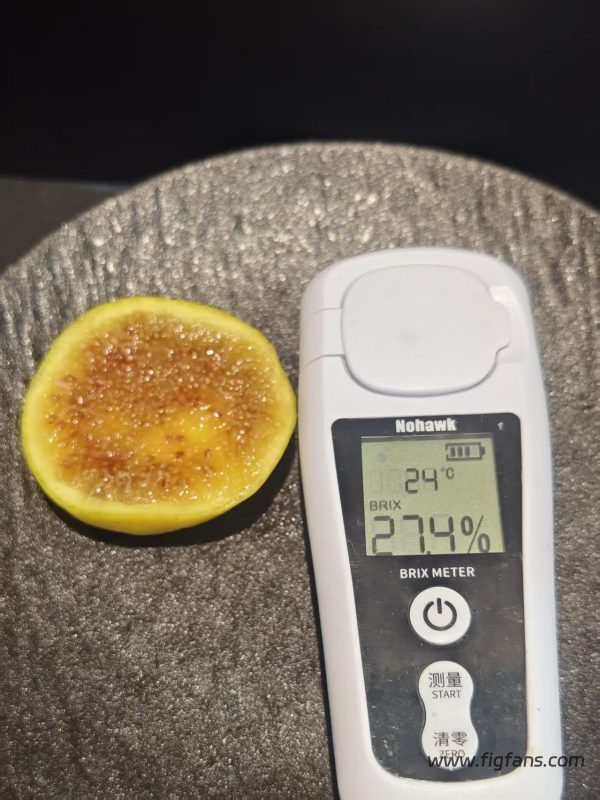小果迷-种植爱好者交流互动平台