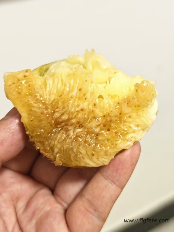 小果迷-种植爱好者交流互动平台