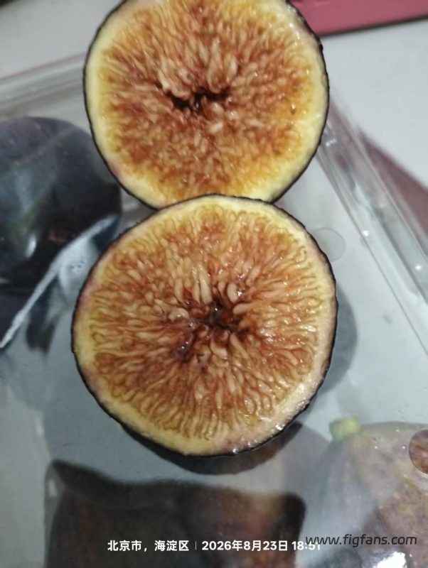小果迷-种植爱好者交流互动平台