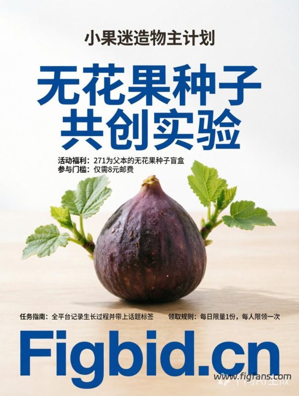 小果迷造物主计划-小果迷