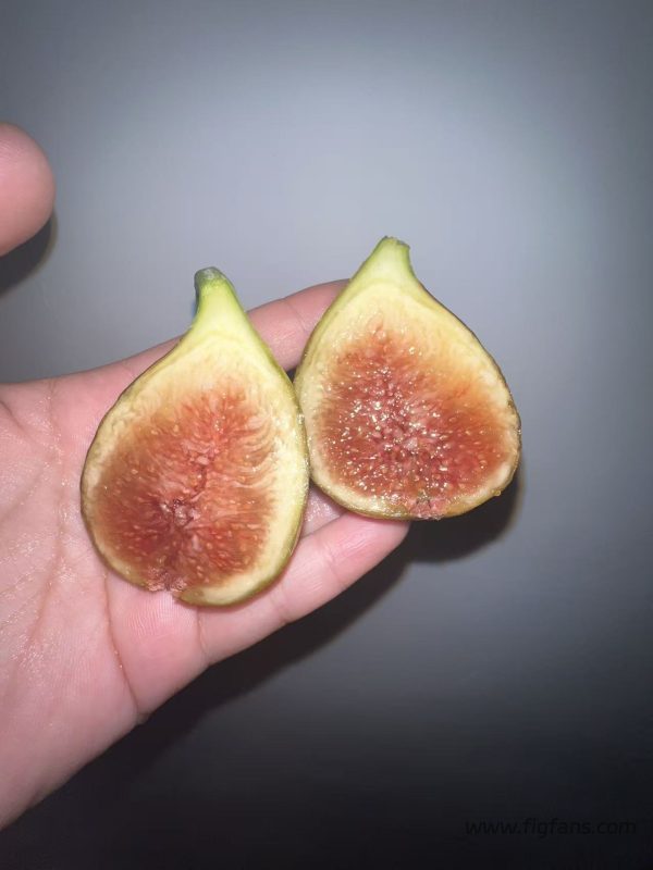 小果迷-种植爱好者交流互动平台