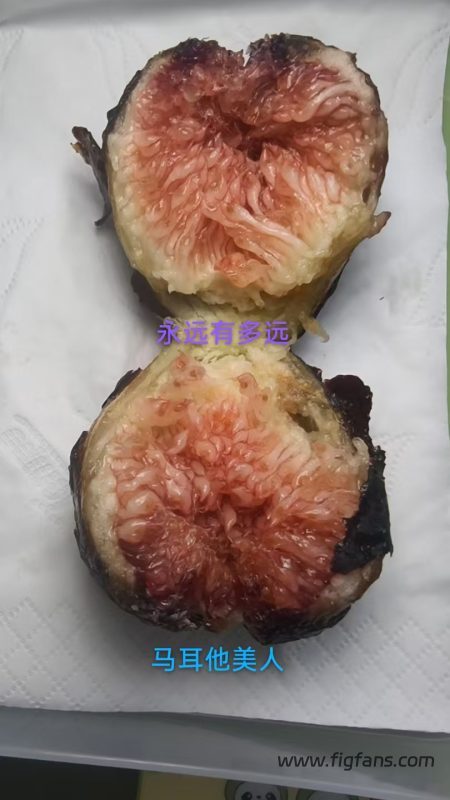 小果迷-种植爱好者交流互动平台