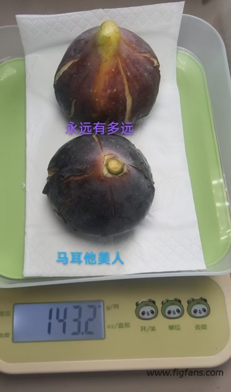 小果迷-种植爱好者交流互动平台