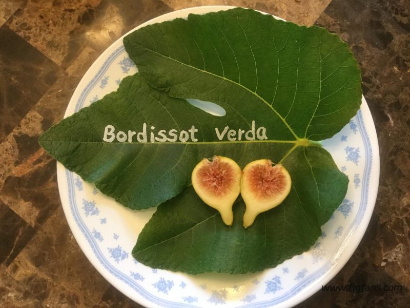 图片[3]-绿布索 Bordissot Verda MP-小果迷