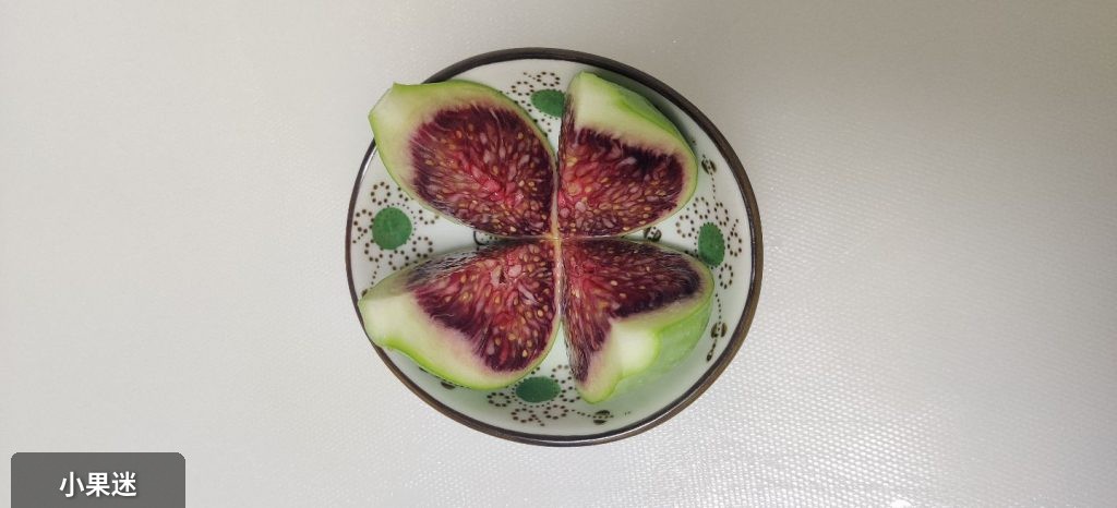 哈哈哈哈-小果迷